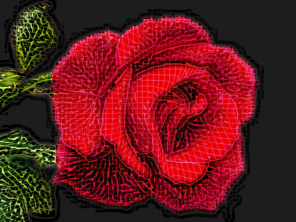 red-rose-1024x768_WF-GC-color.jpg