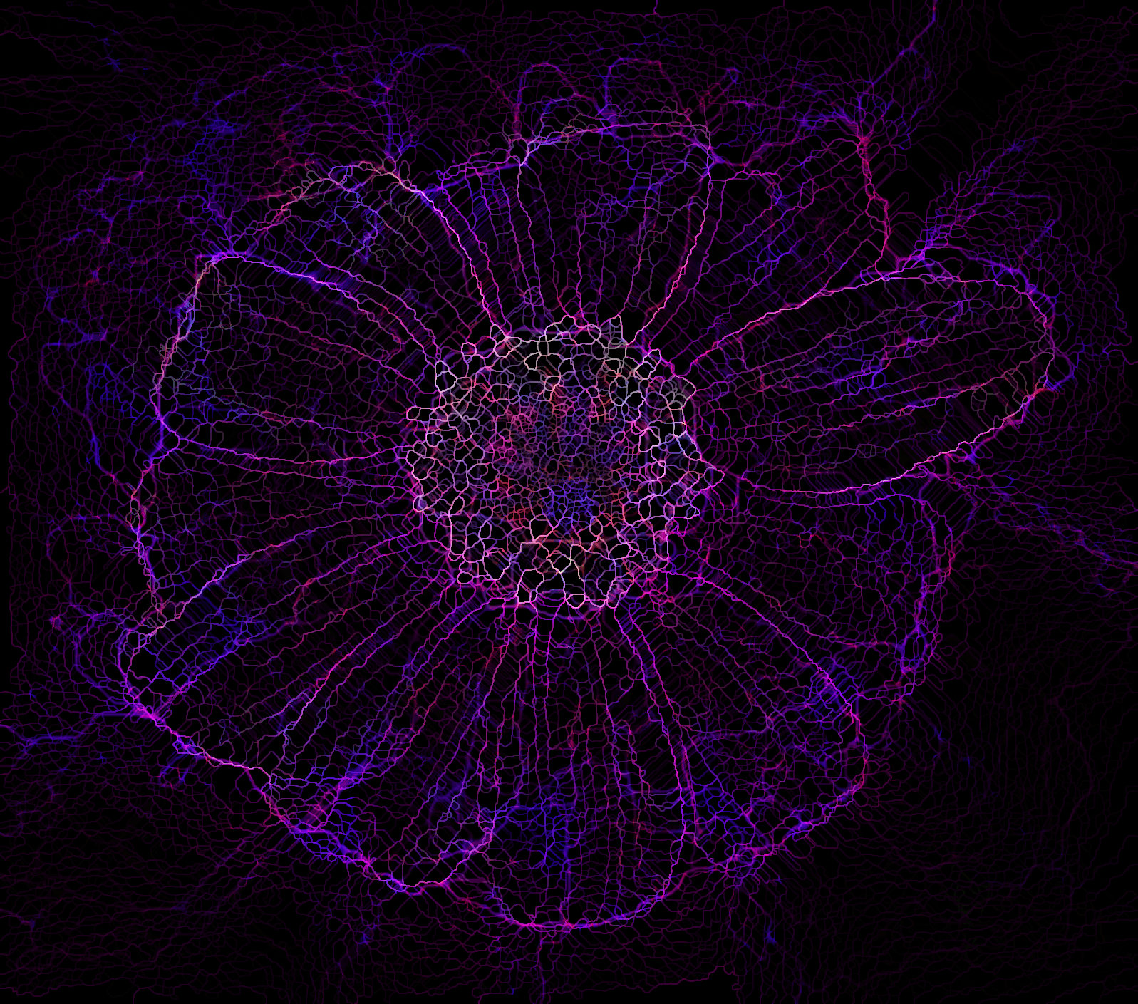 embellishment.jpg