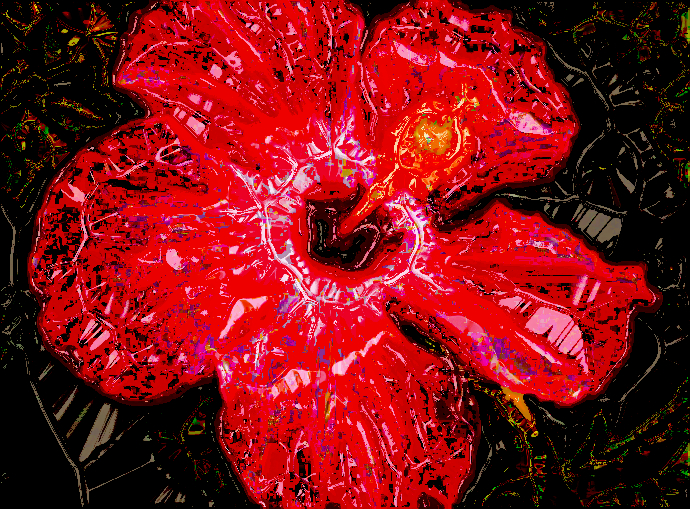 Hibiscus CrystalDN.jpg