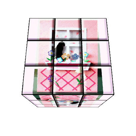 Rubiks-Cube-Rel-2 03.gif