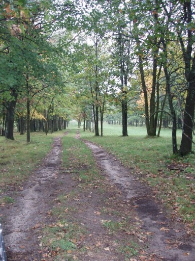 Farm road.JPG