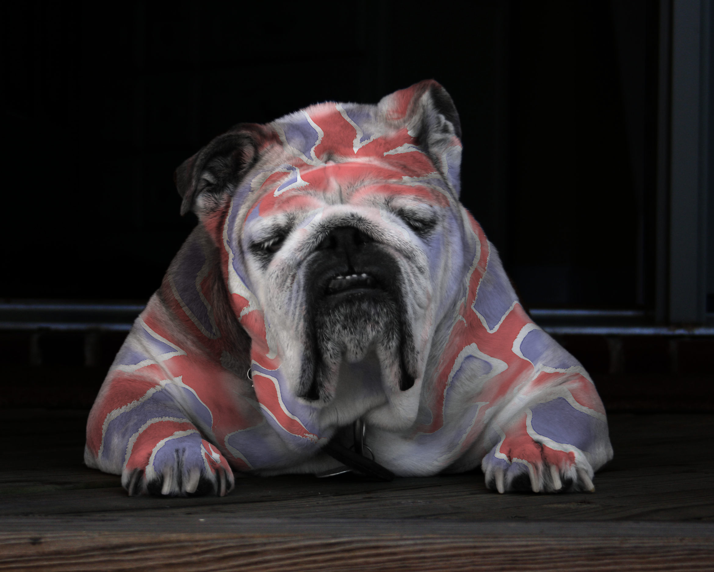 rit bulldog.jpg