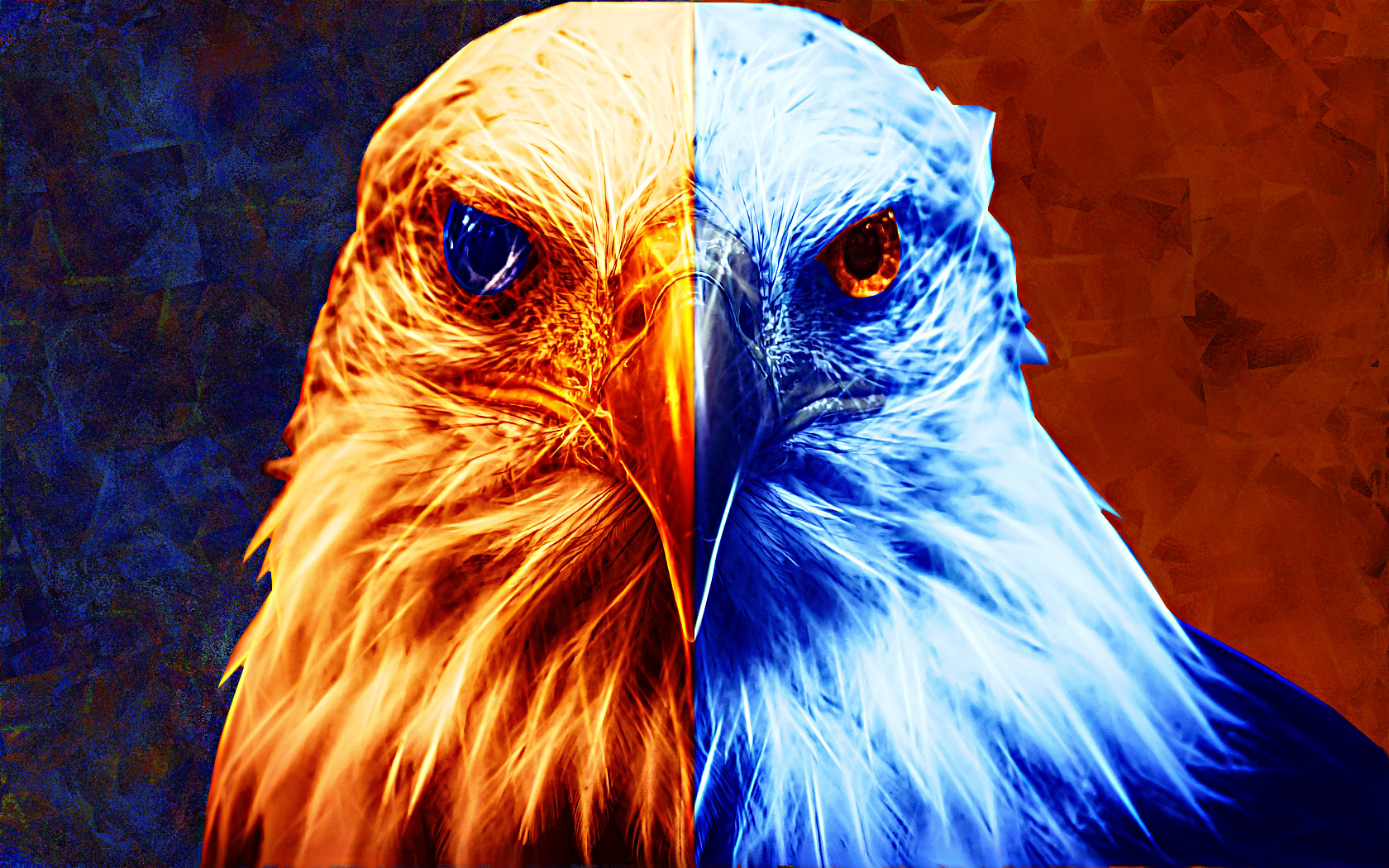 bald-eagle-photomanipulation.JPG