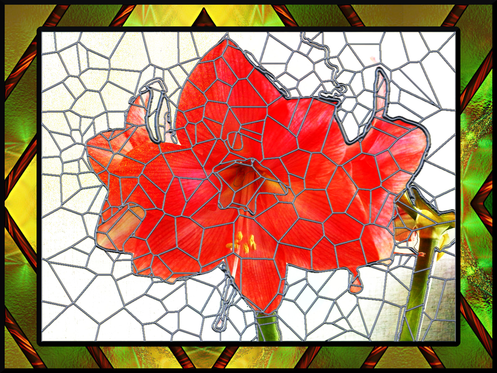 3638_SAM_0964.GC_Issa-pattern.jpg
