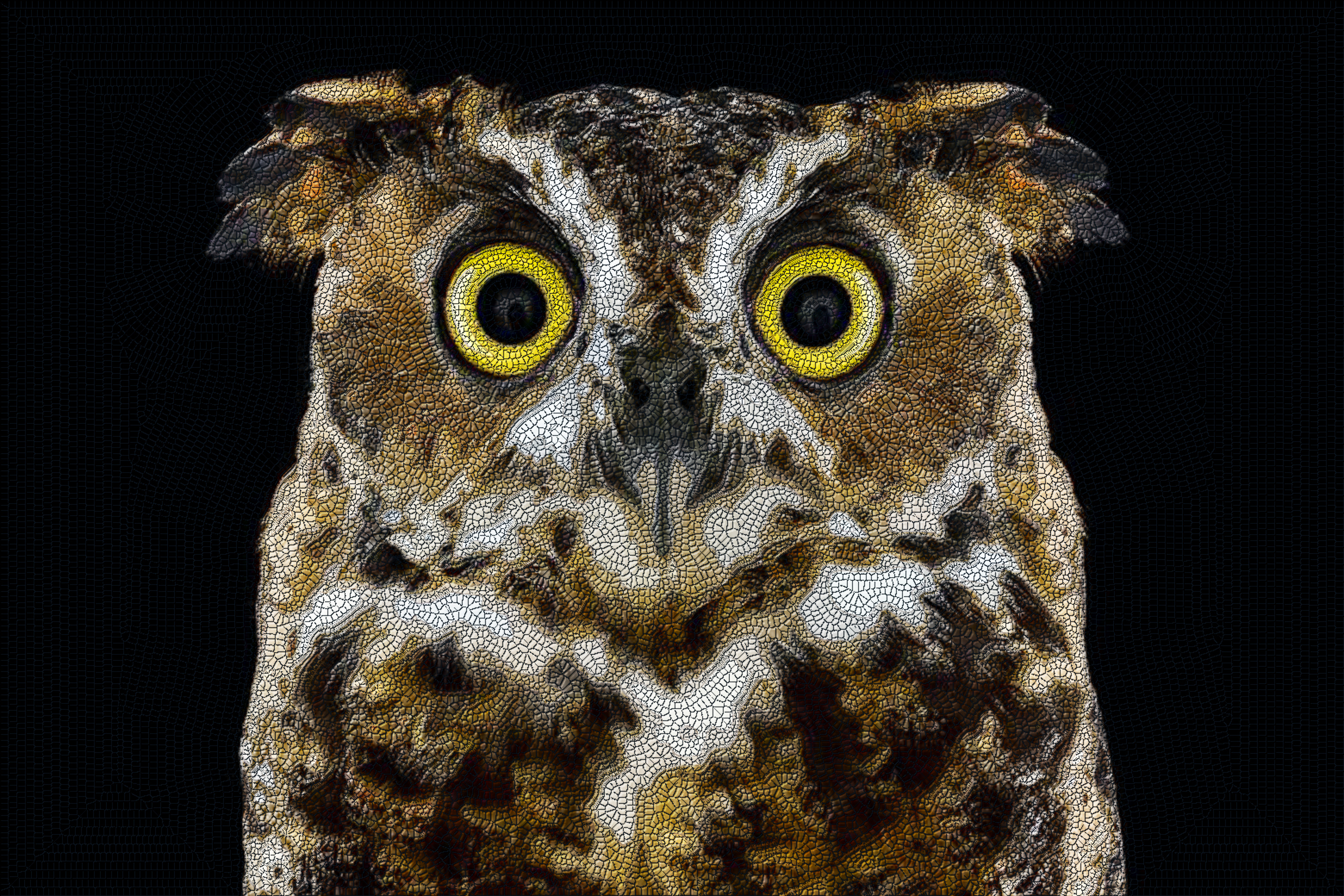 GreatHornedOwl3Fina_737757c-MosaicLyleStyle-D.N-v1-1.jpg
