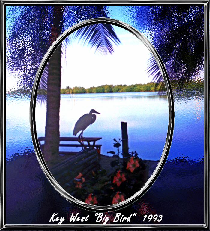 1993 KW Big Bird.png