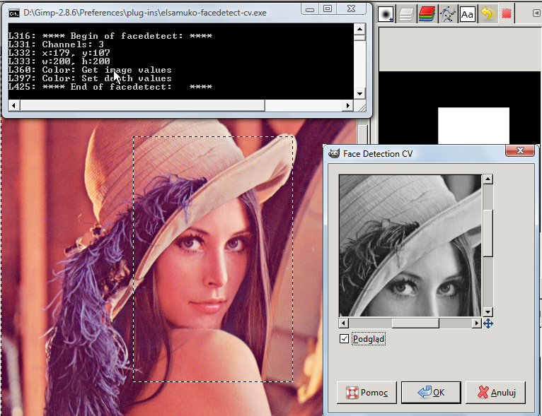 Face detection.png