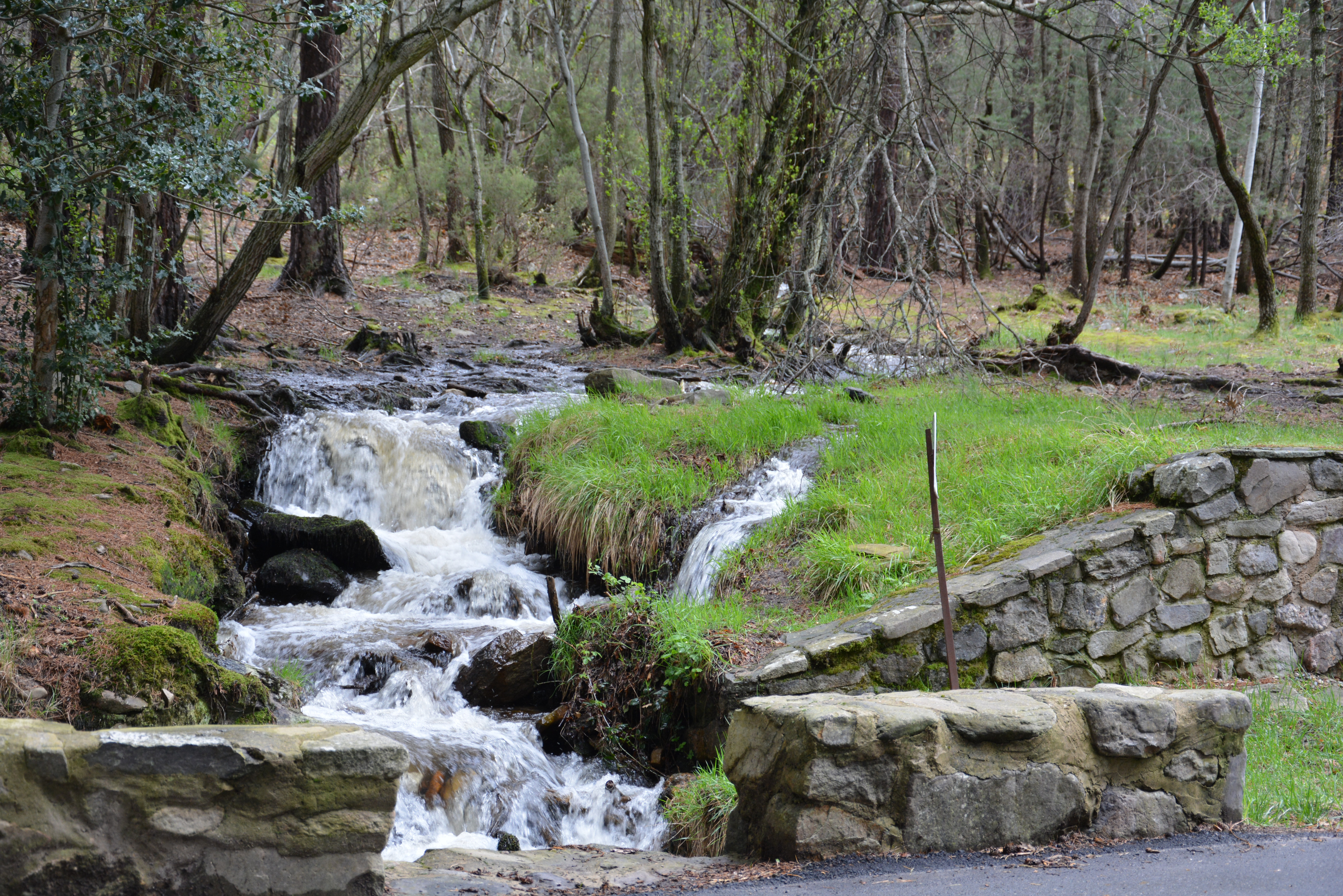 DSC_0215.JPG