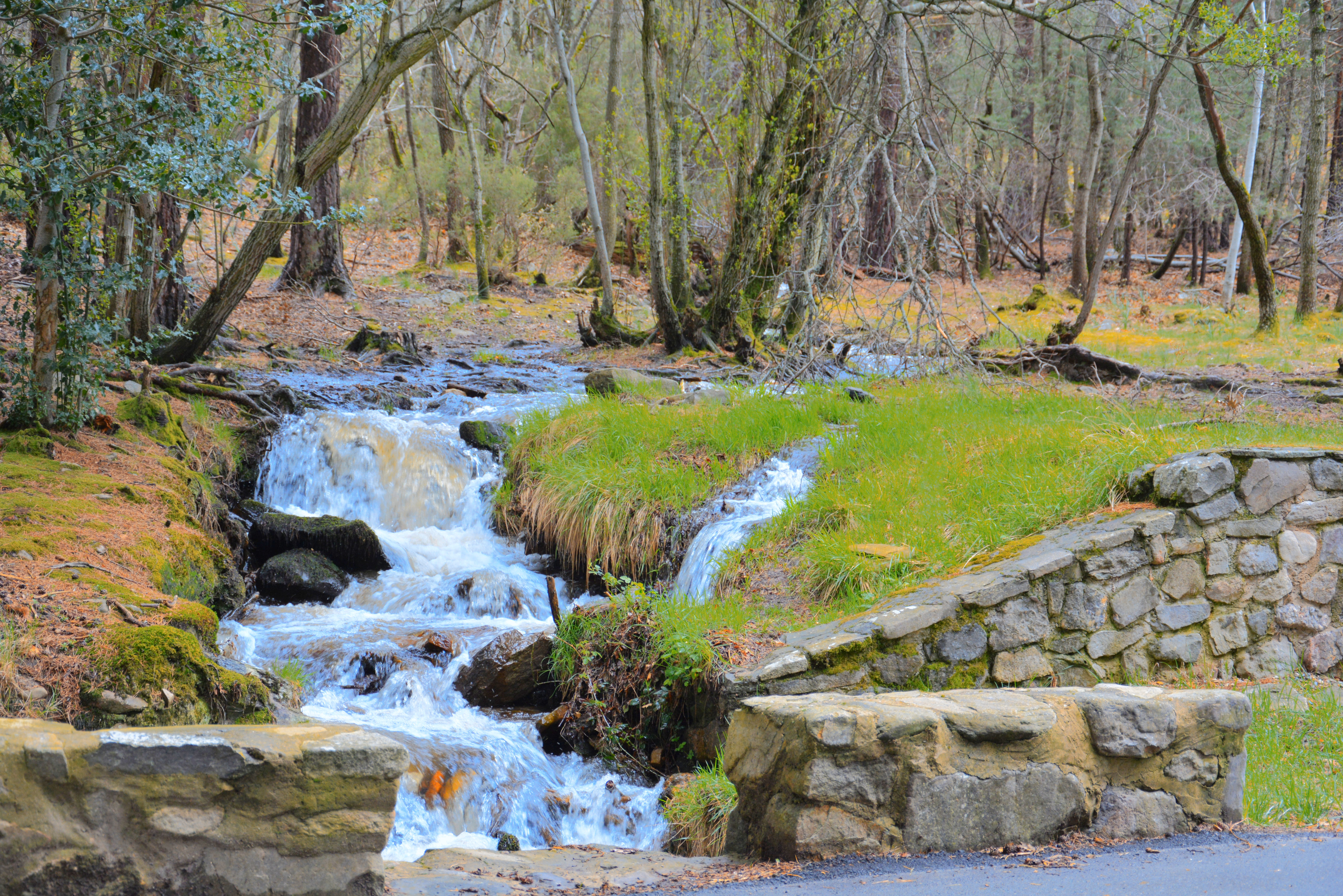 DSC_0215.JPG