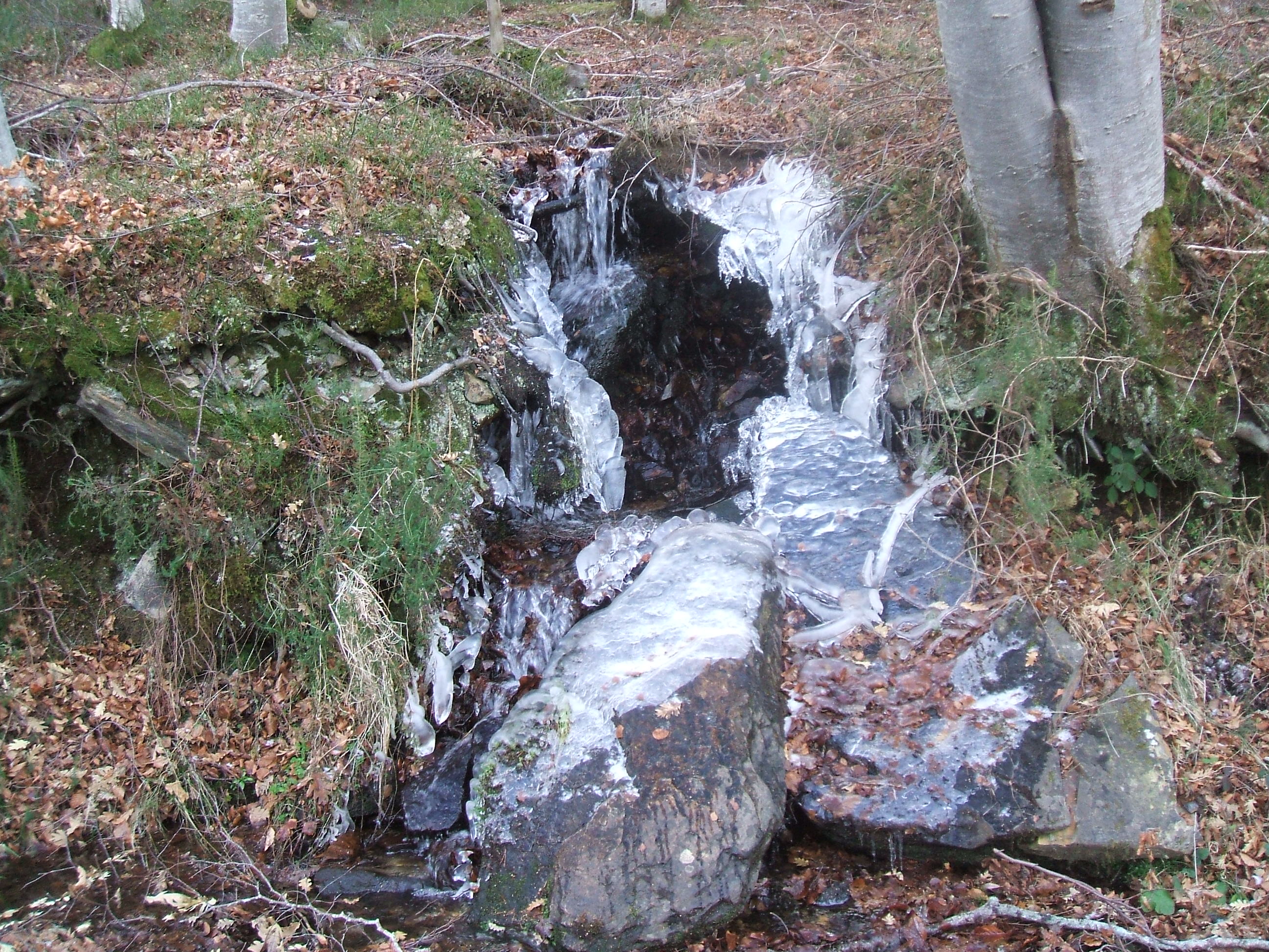 DSCF7611.JPG