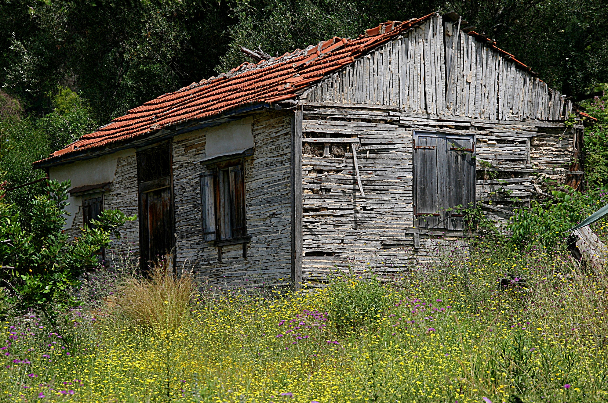 OldHouse.jpg