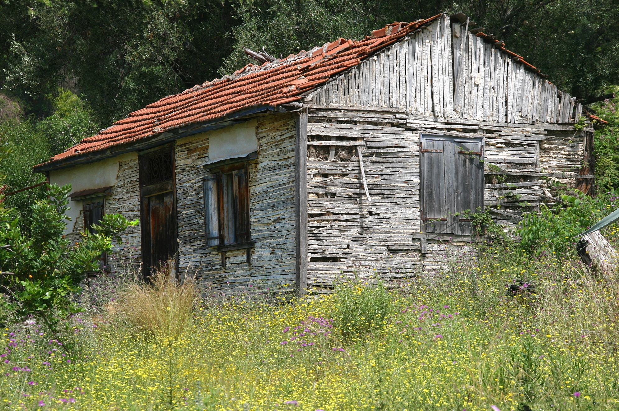 old_house_final.jpg