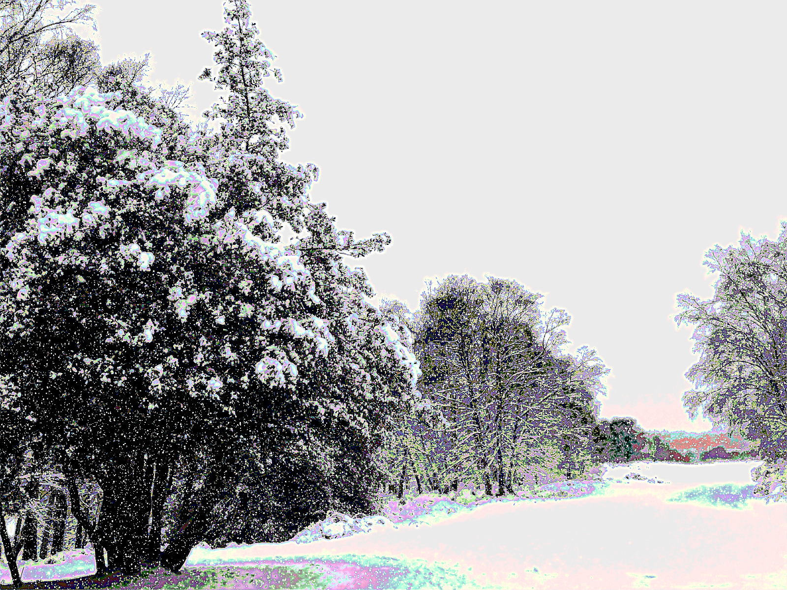 Snow Scene.png