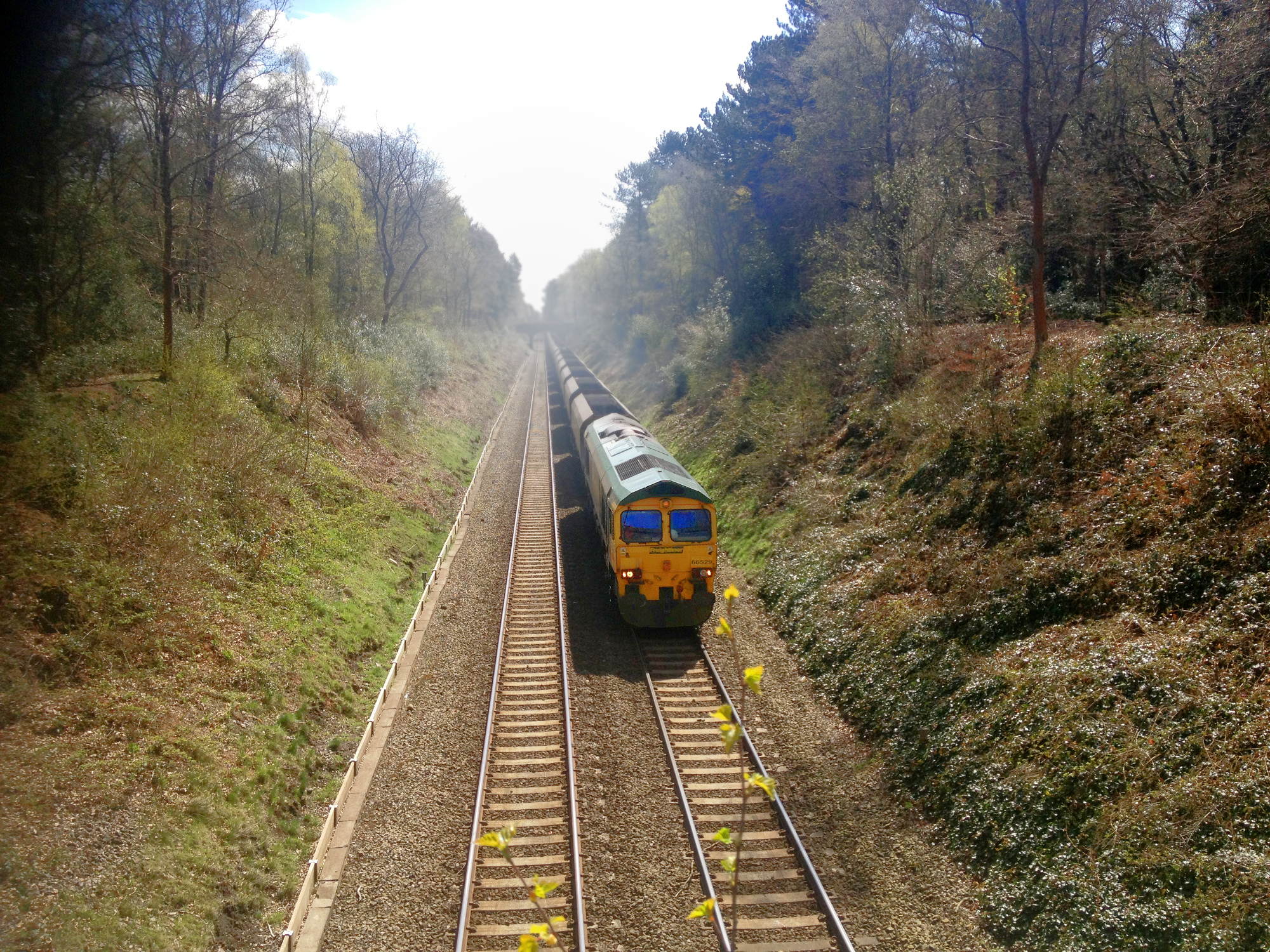 train.JPG