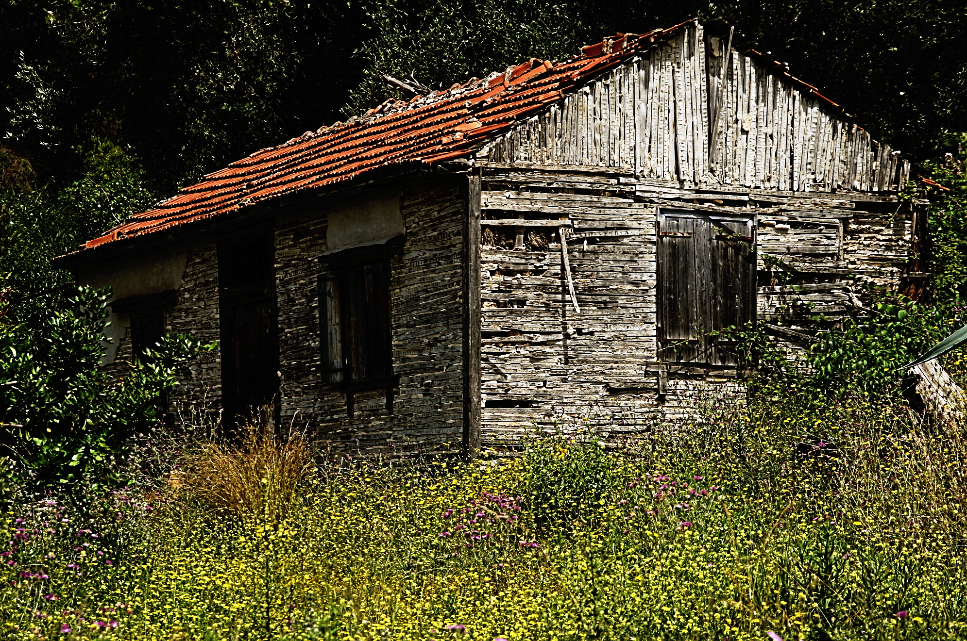 old_house-dn1.jpg
