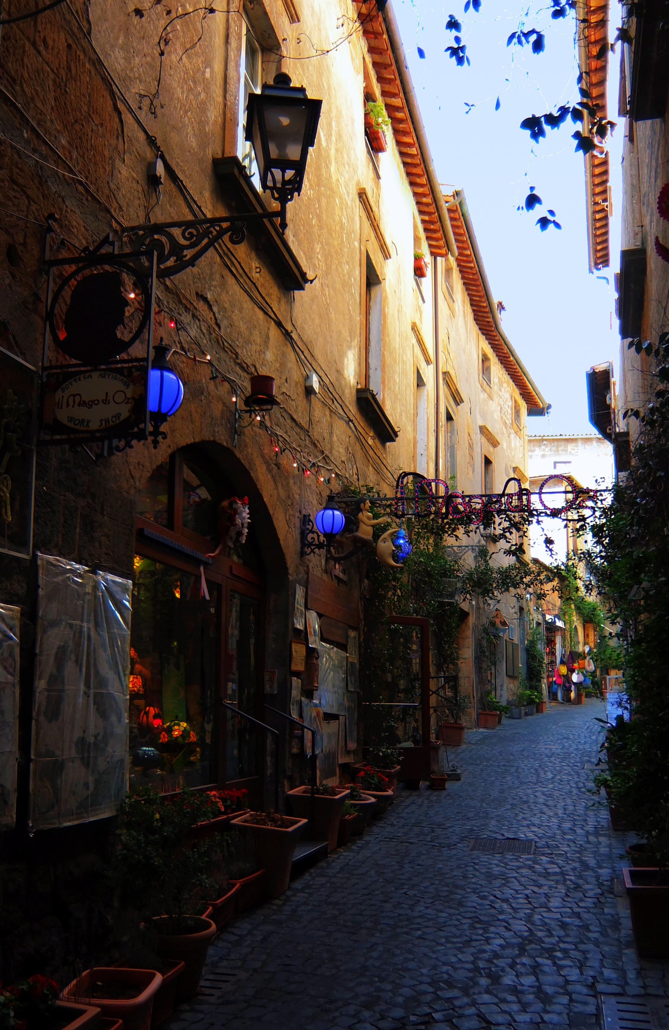 DSCF1585-dn1.JPG