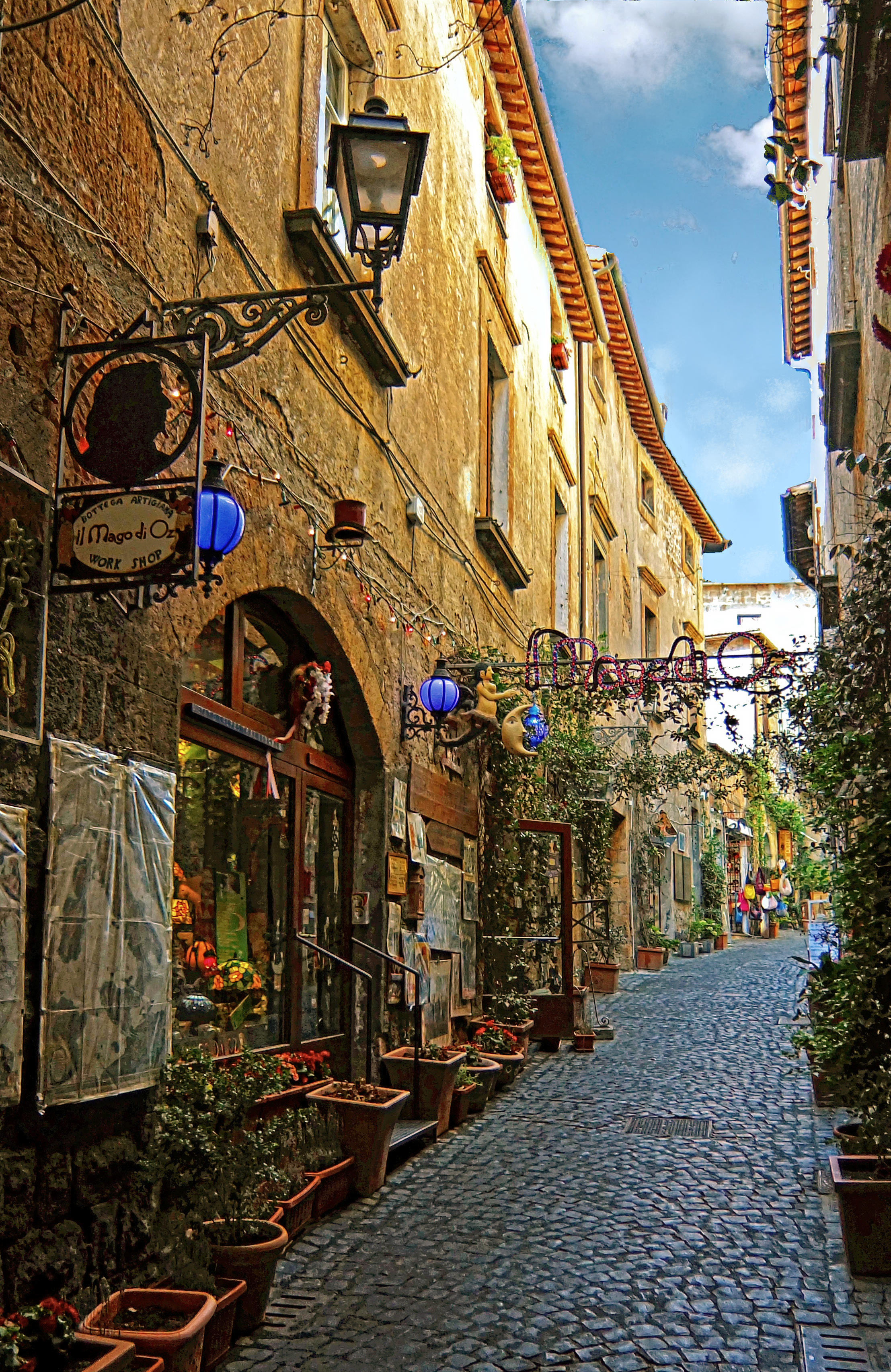 DSCF1585-dn3.JPG