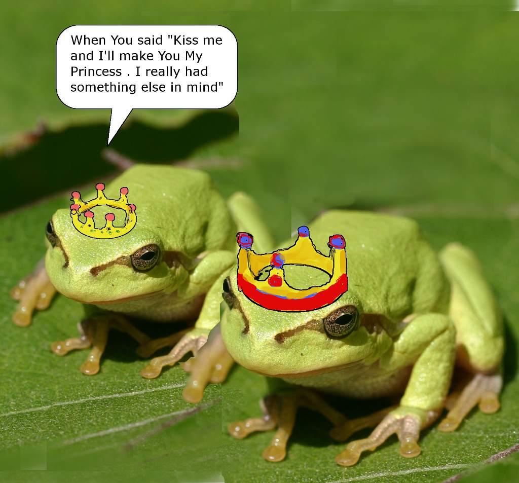 frog.jpg