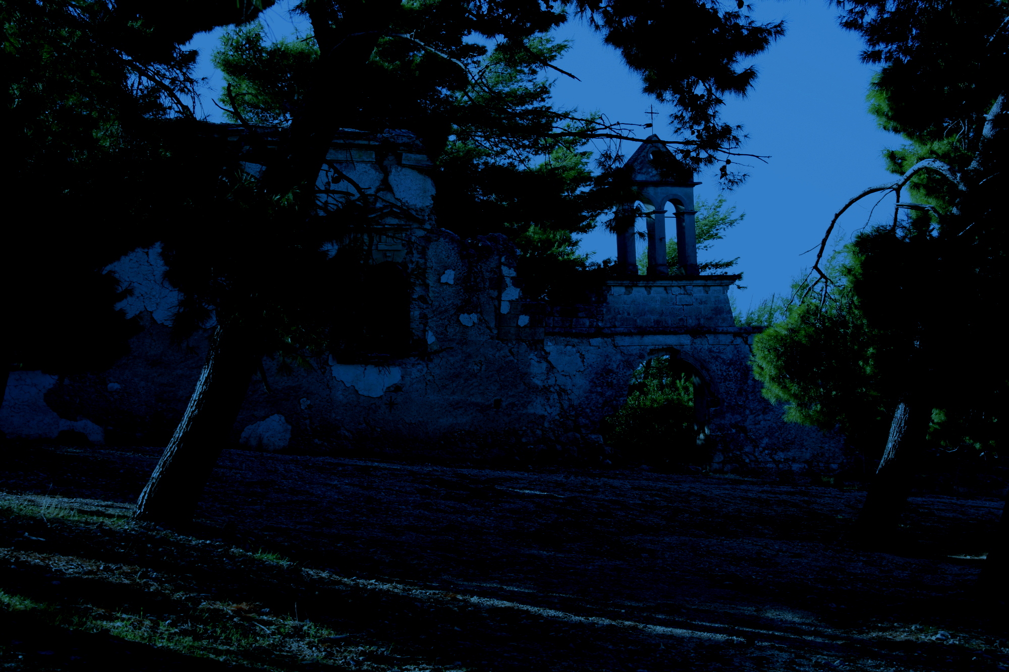 Sissia-dn2.JPG