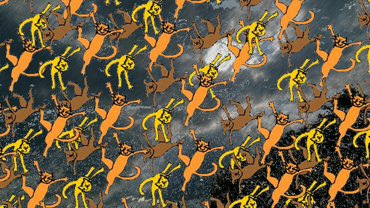rain cats dogs.gif