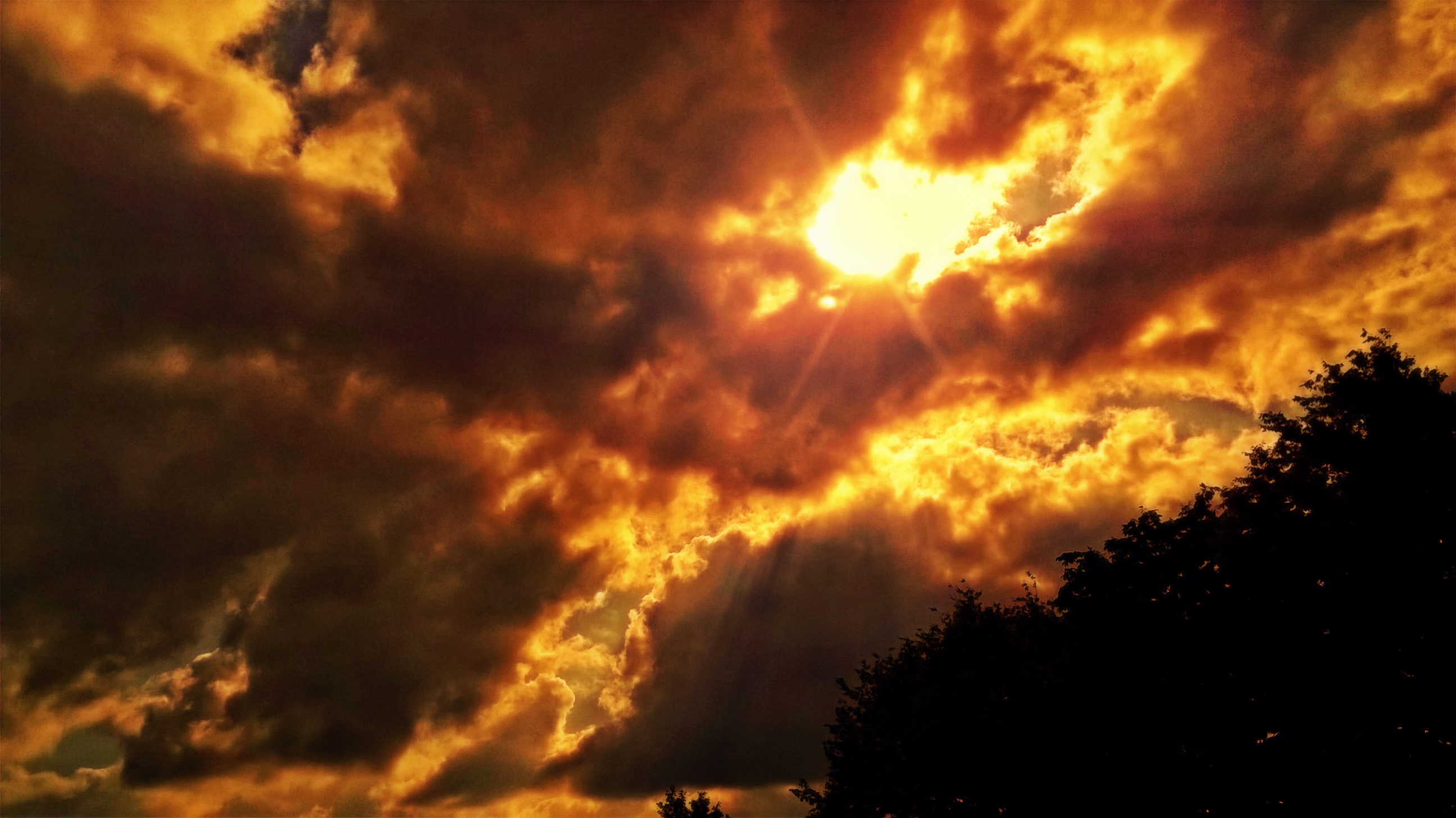 4912_WP_20160529_17_22_54_Pro_color.jpg