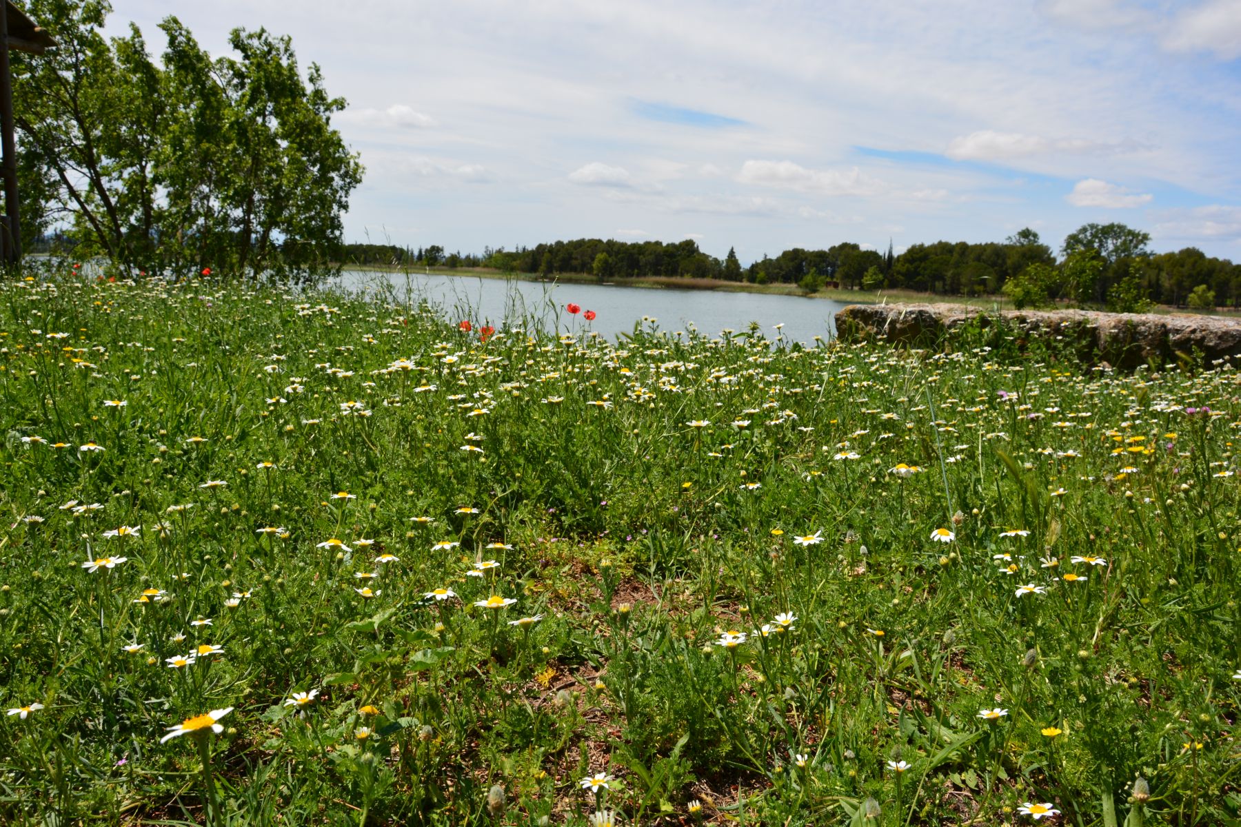 2016-05-23 12.54.10.jpg