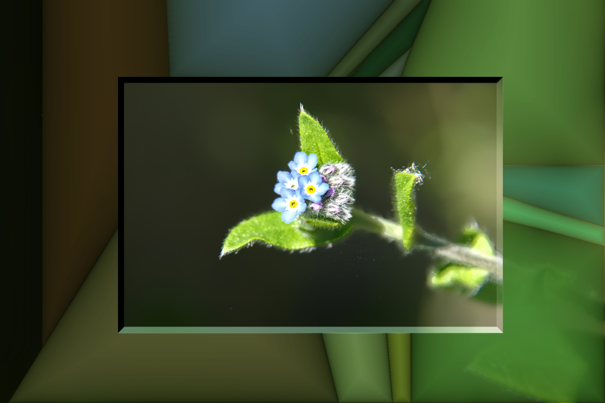 flower-denoised-freaky details-Issa.jpeg