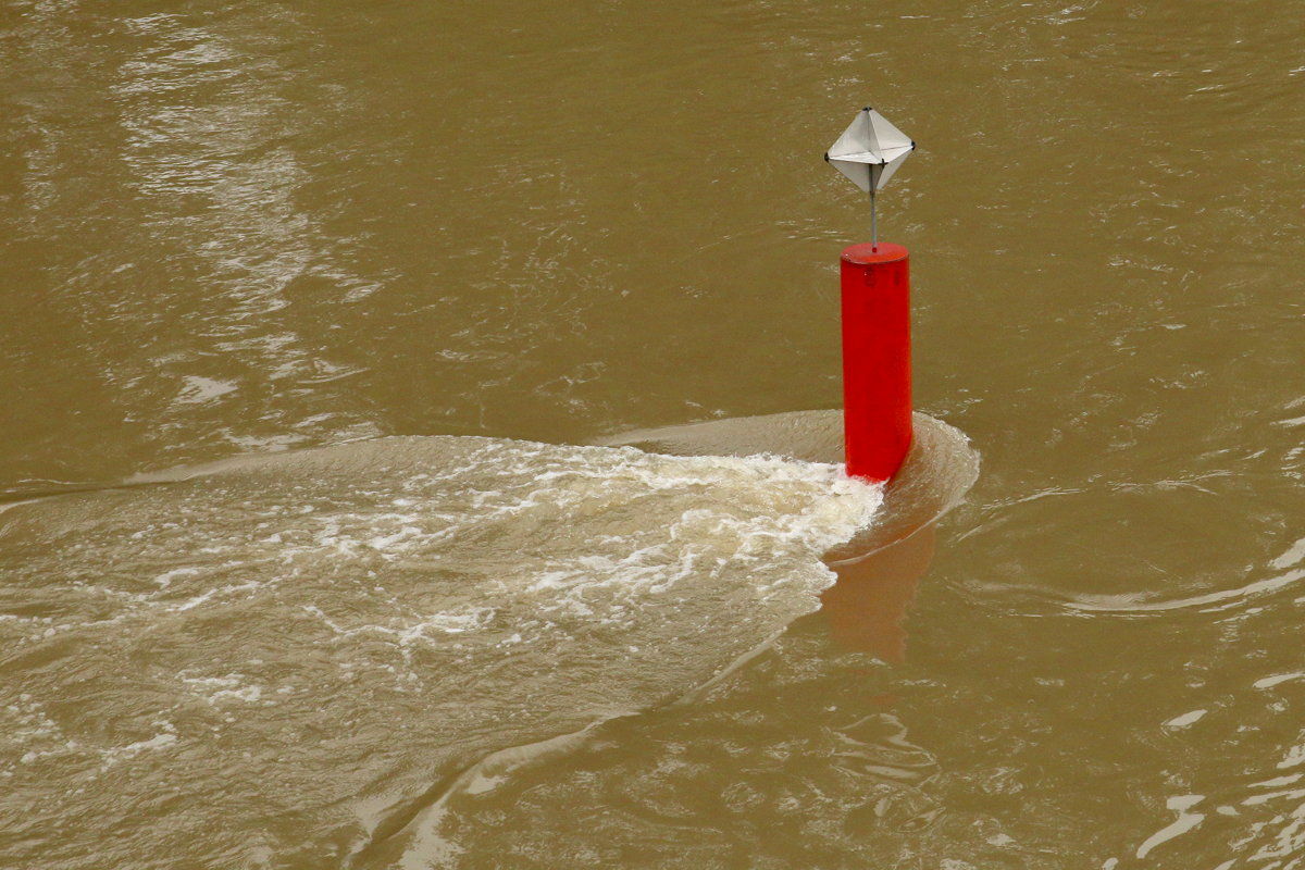SeineStream.jpg