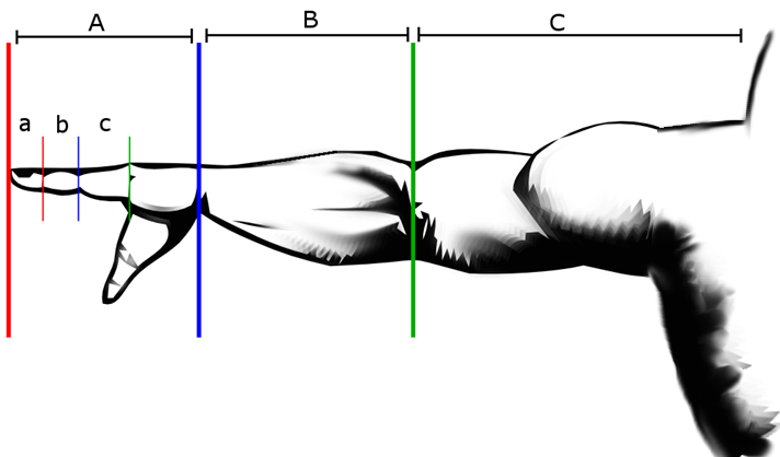 im-with-jc-math-of-god-2.png