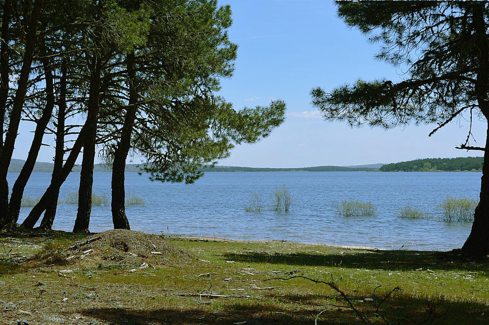 lake_and_trees.JPG