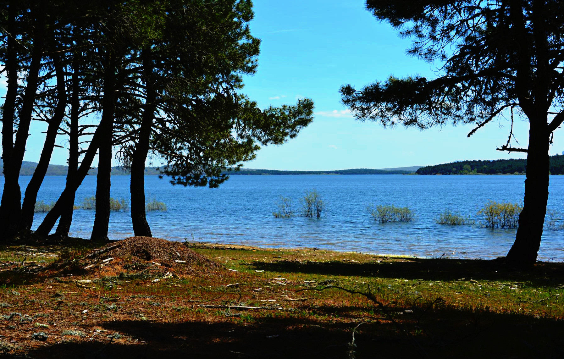DSC_0388-dn1.JPG
