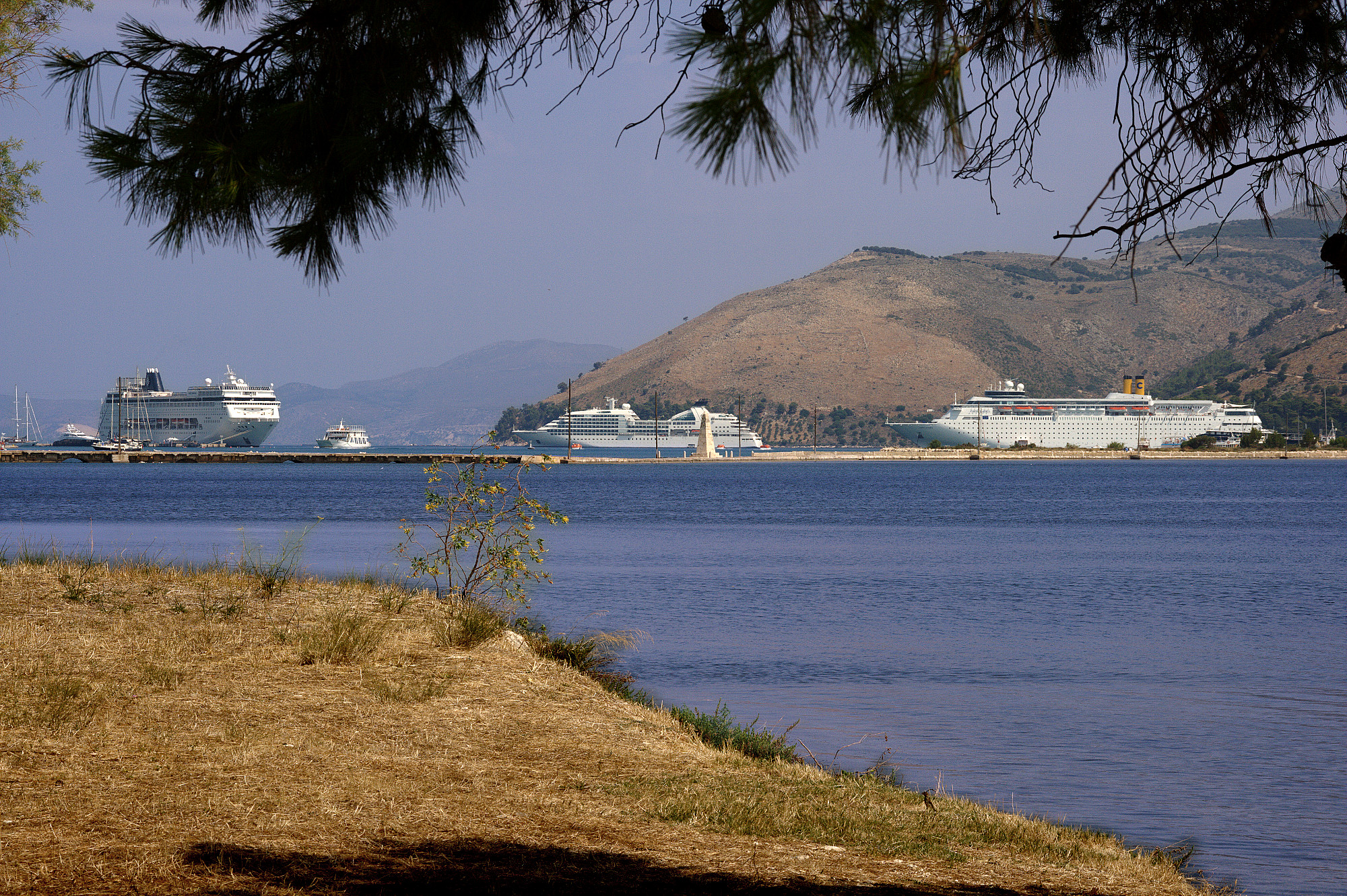 cruise_ships.jpg
