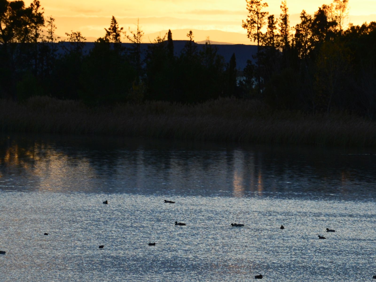 DSC_0267.JPG