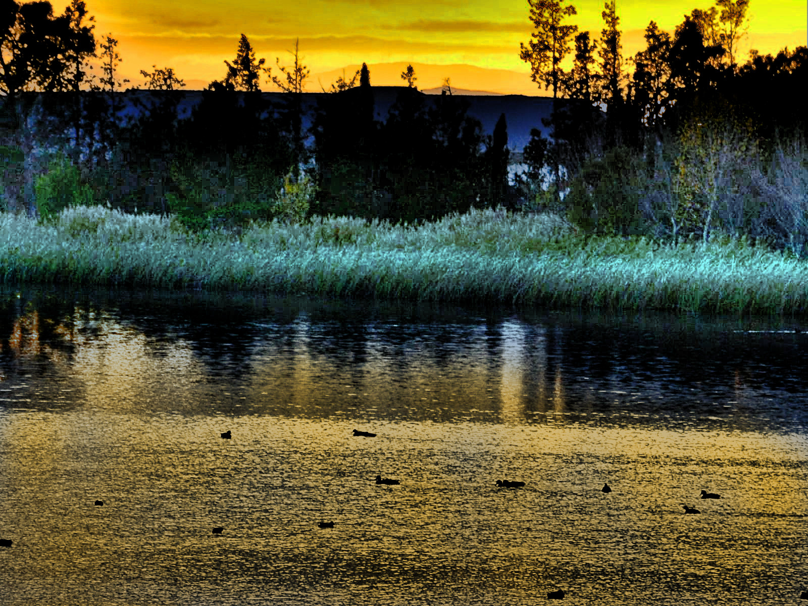 DSC_0267-dn1.JPG
