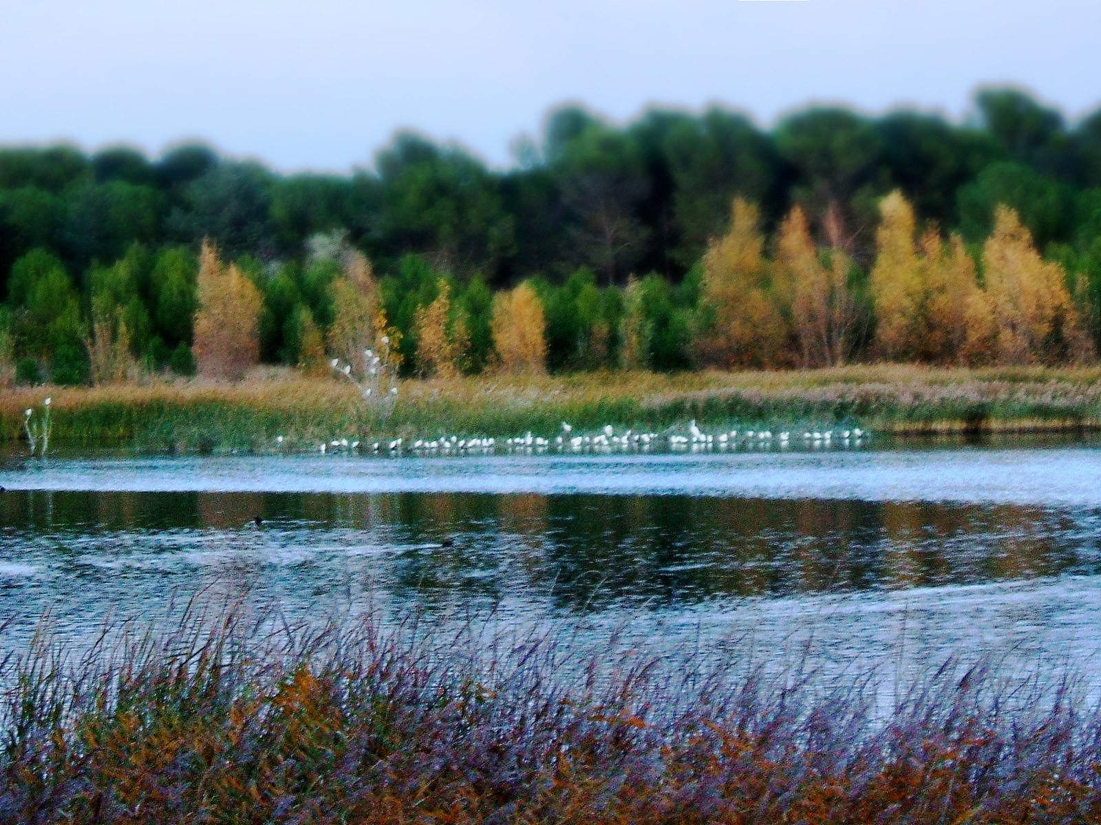 Laguna  Moncayo - atardecer.jpg
