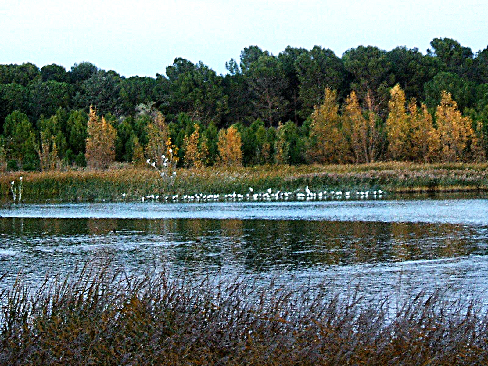 Laguna  Moncayo - atardecer-unsharp mask-specific saturation-colour curves-Issa.jpg