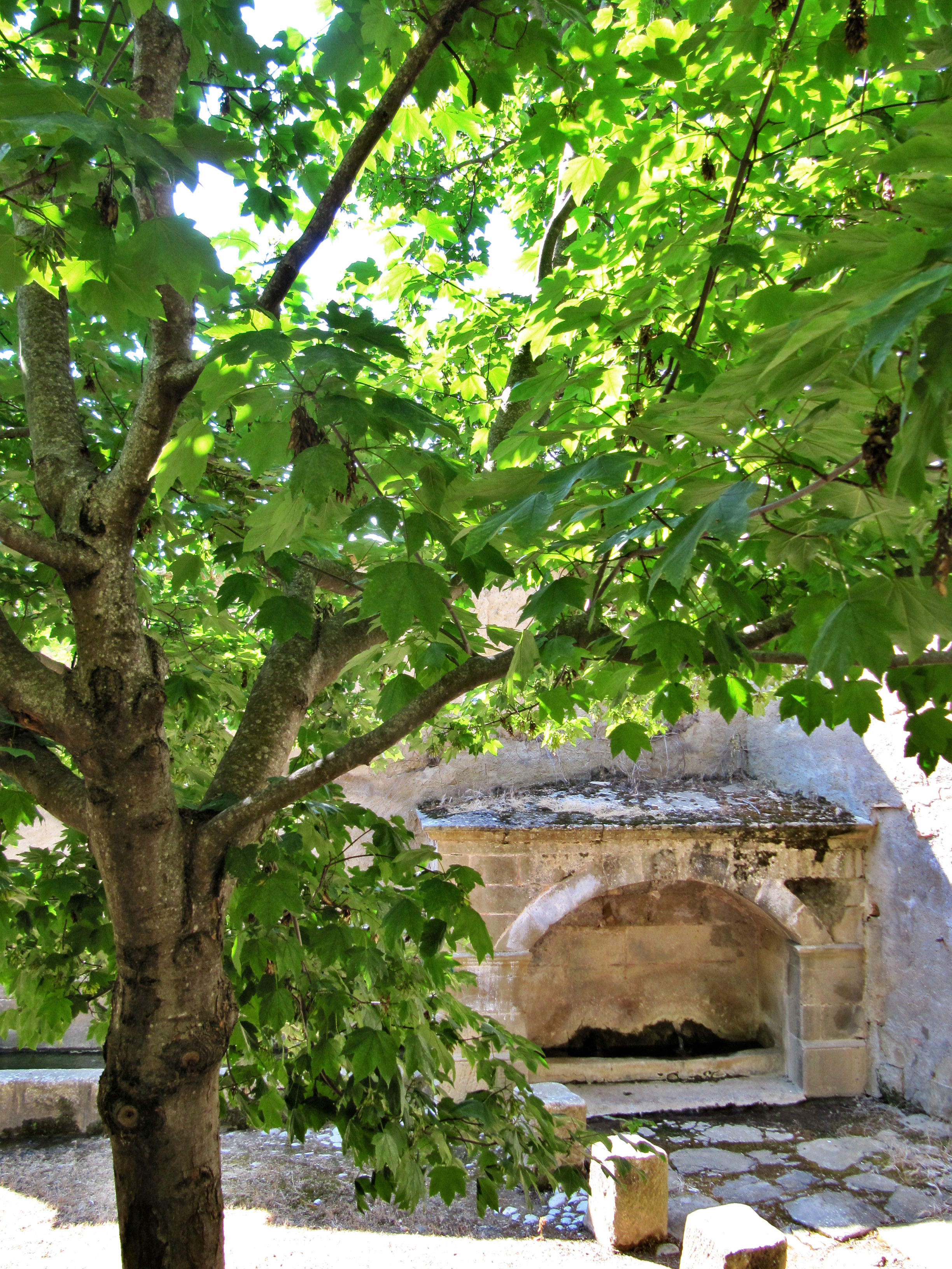 IMG_2968.JPG