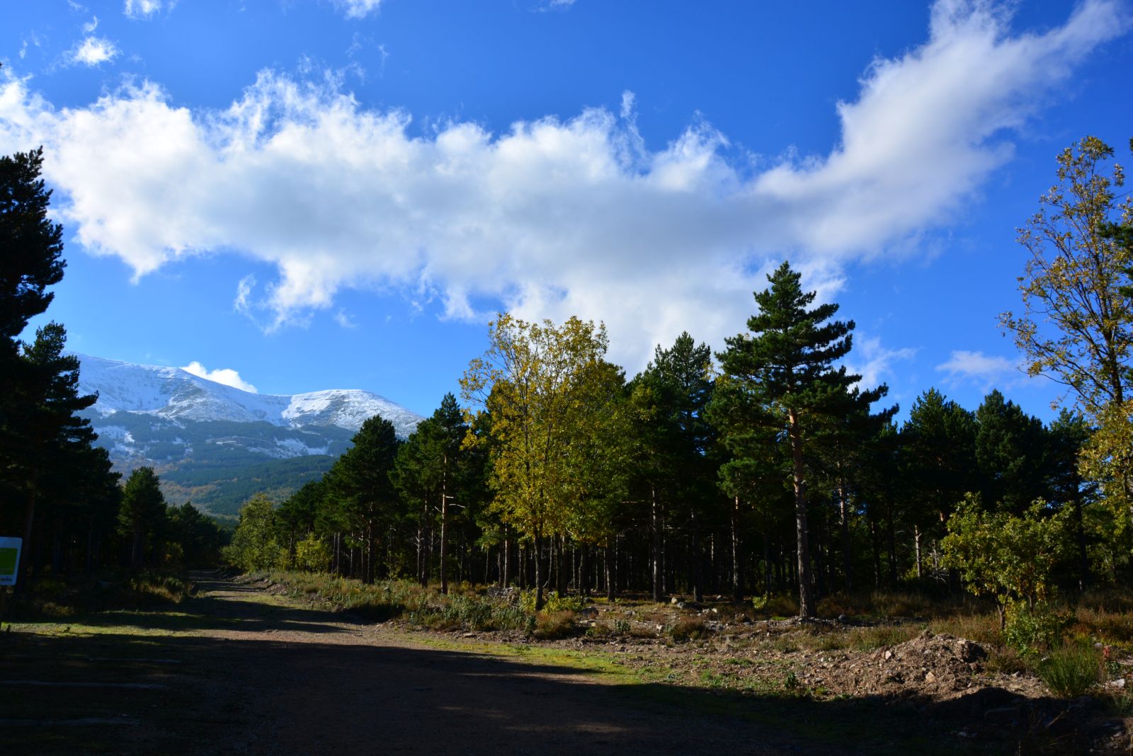 DSC_0081.JPG