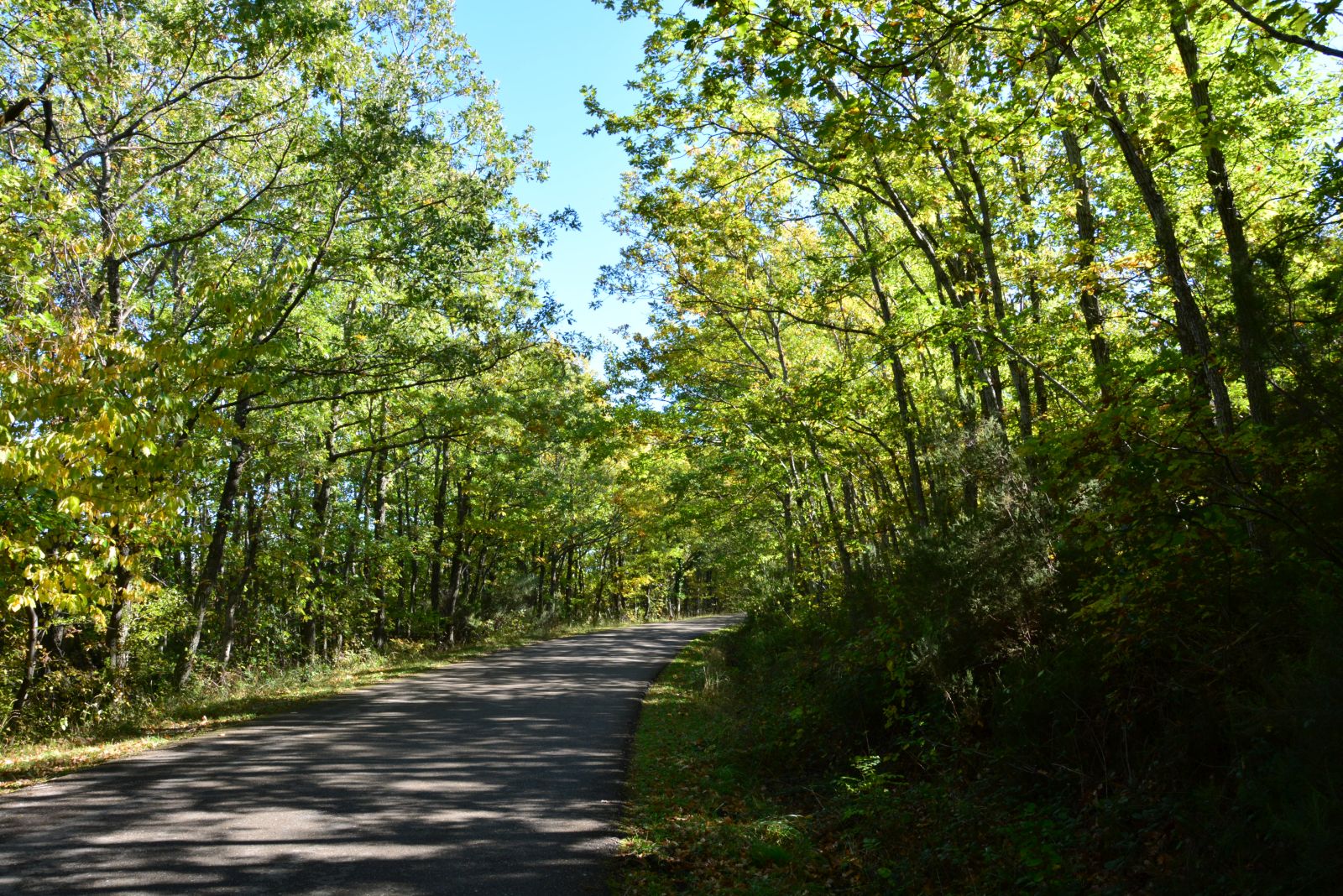 DSC_0078.JPG