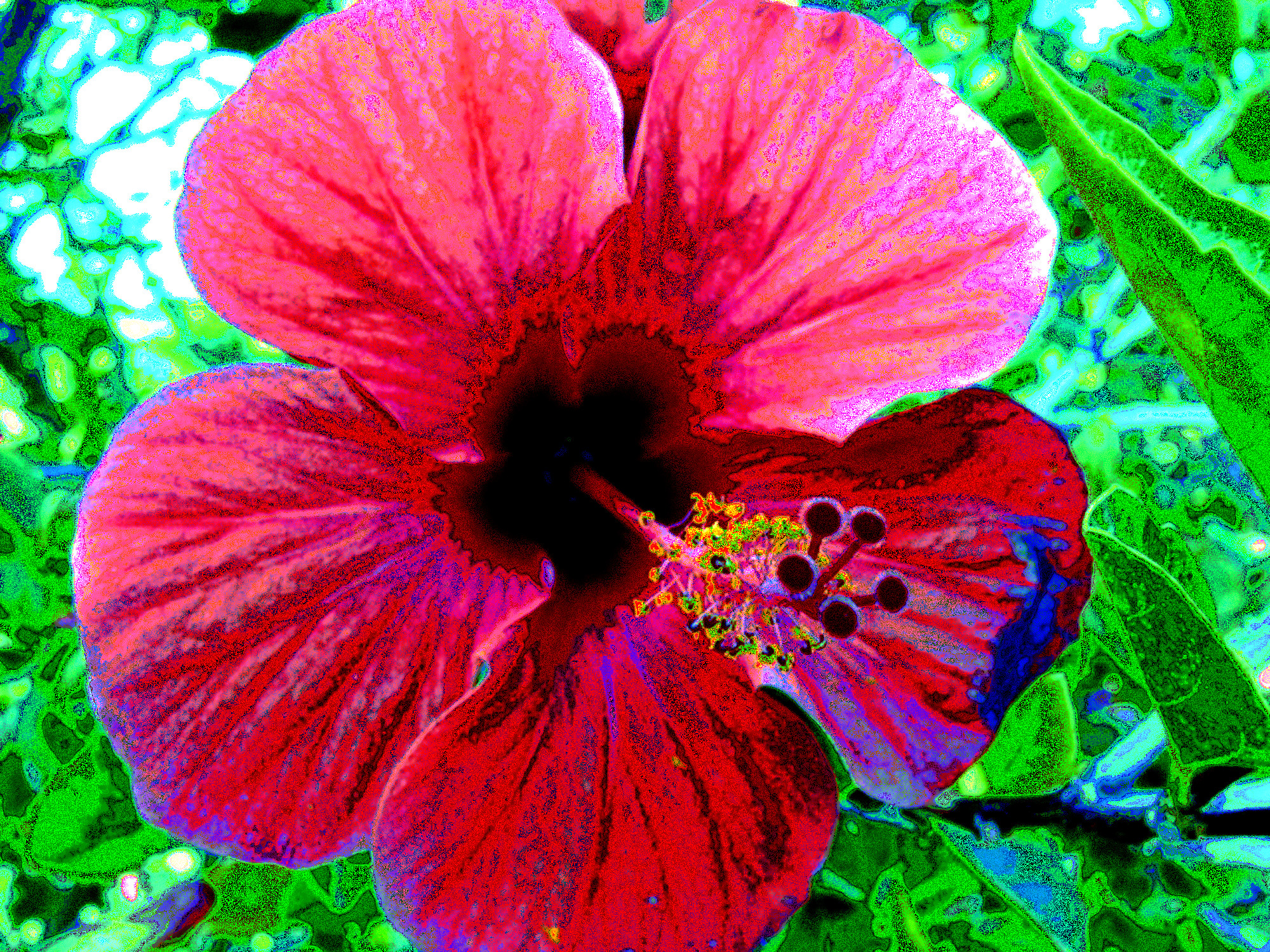 6a00d83451654569e201053558da99970c-640wi (pointillistic)b.jpg