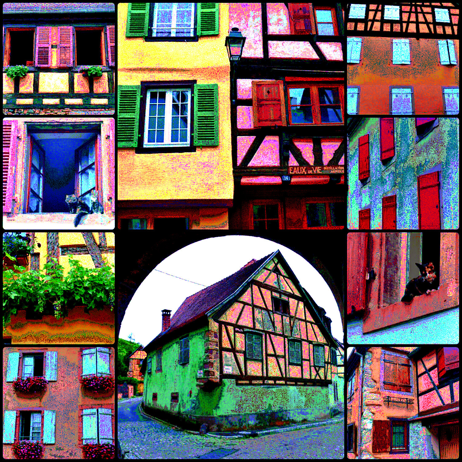 4df760-catsinthesills-Pointillism-DN.jpg
