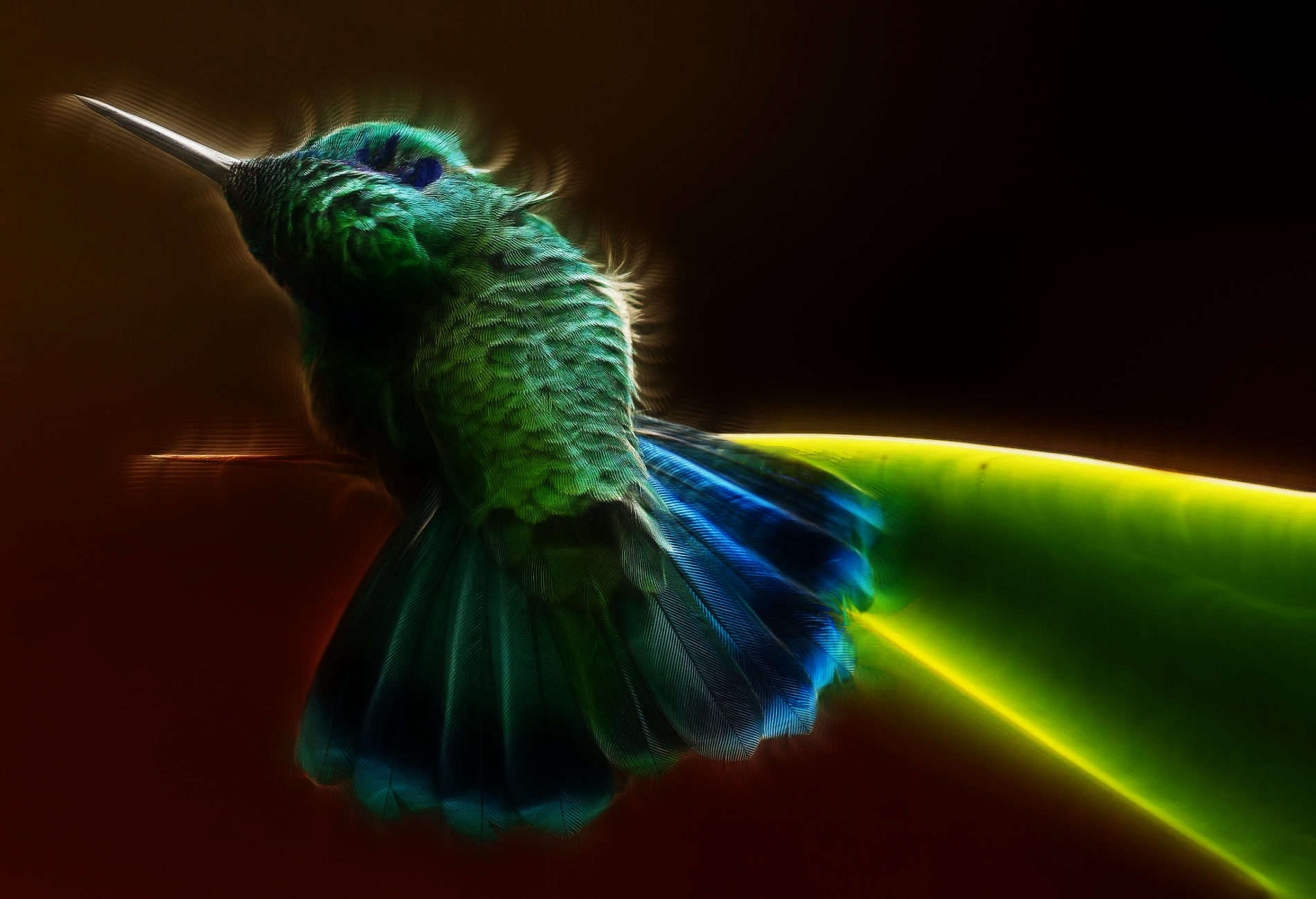 Audubon-Photo-Awards06.ngsversion.png