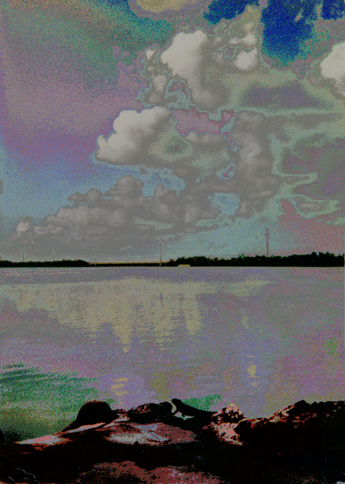 KeyWestBayPointillist mosaic crosshatch w.curves.jpg