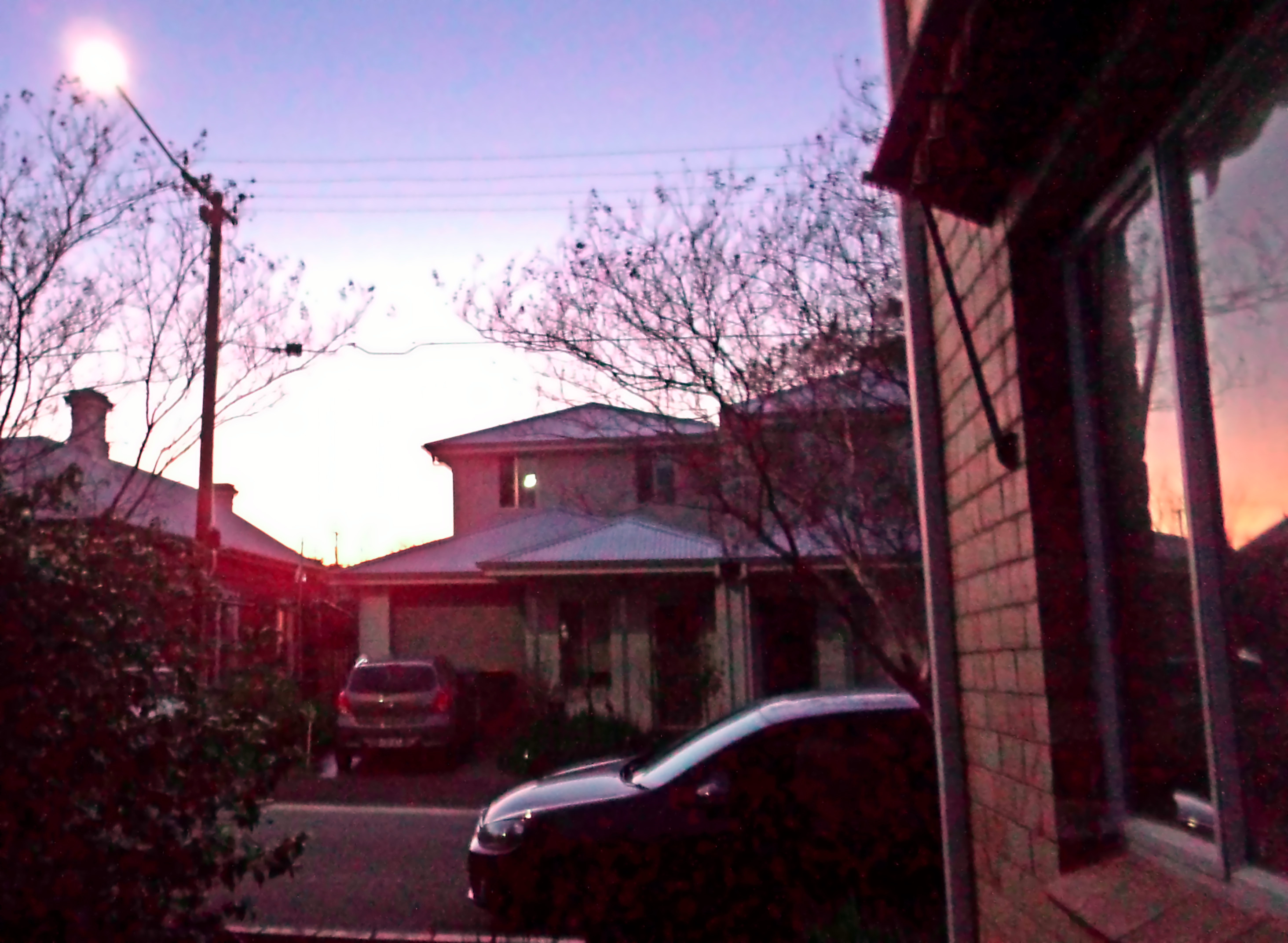 1831_P8190040cropped-dn.jpg