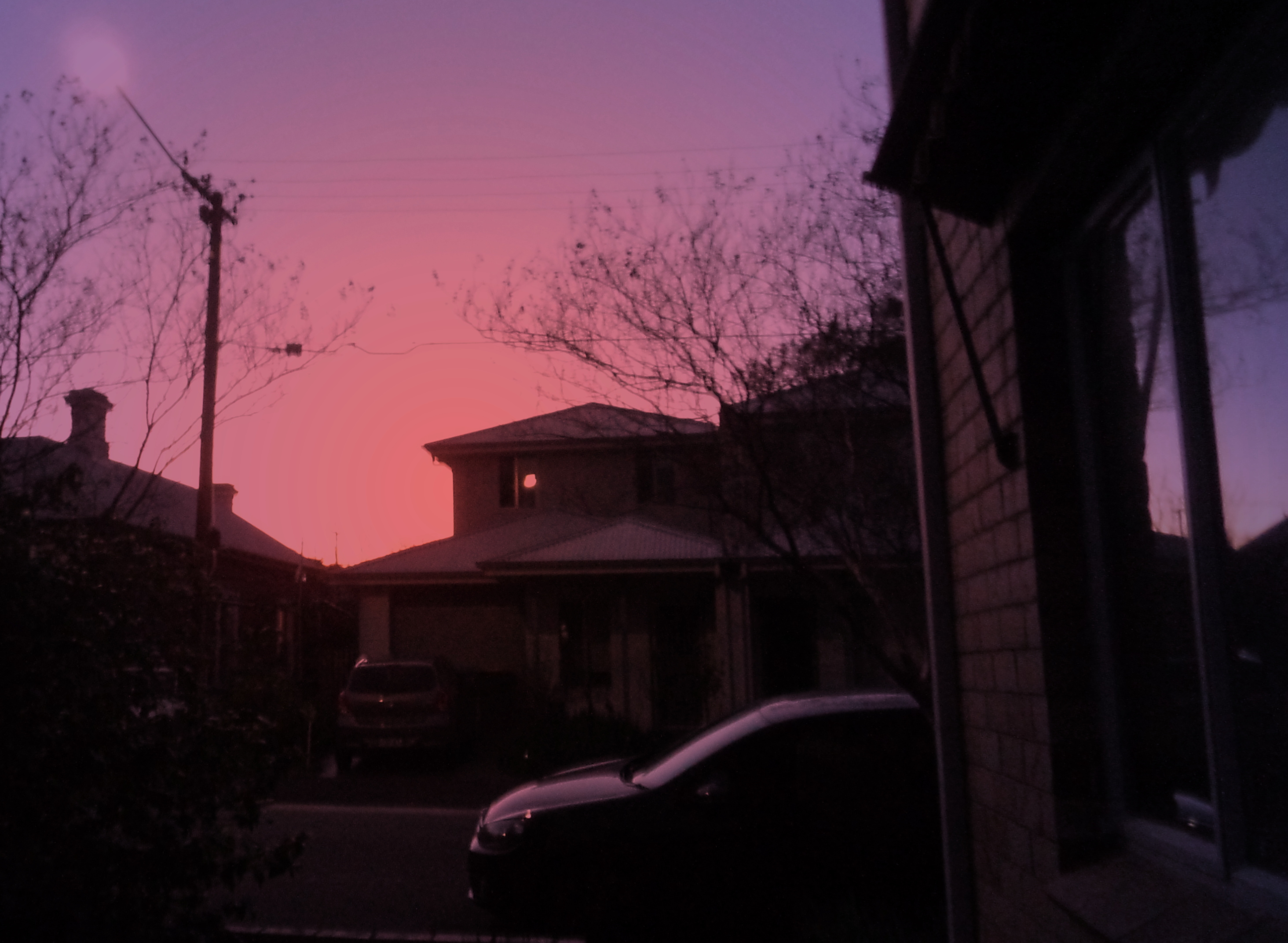 1831_P8190040cropped-dn2.jpg