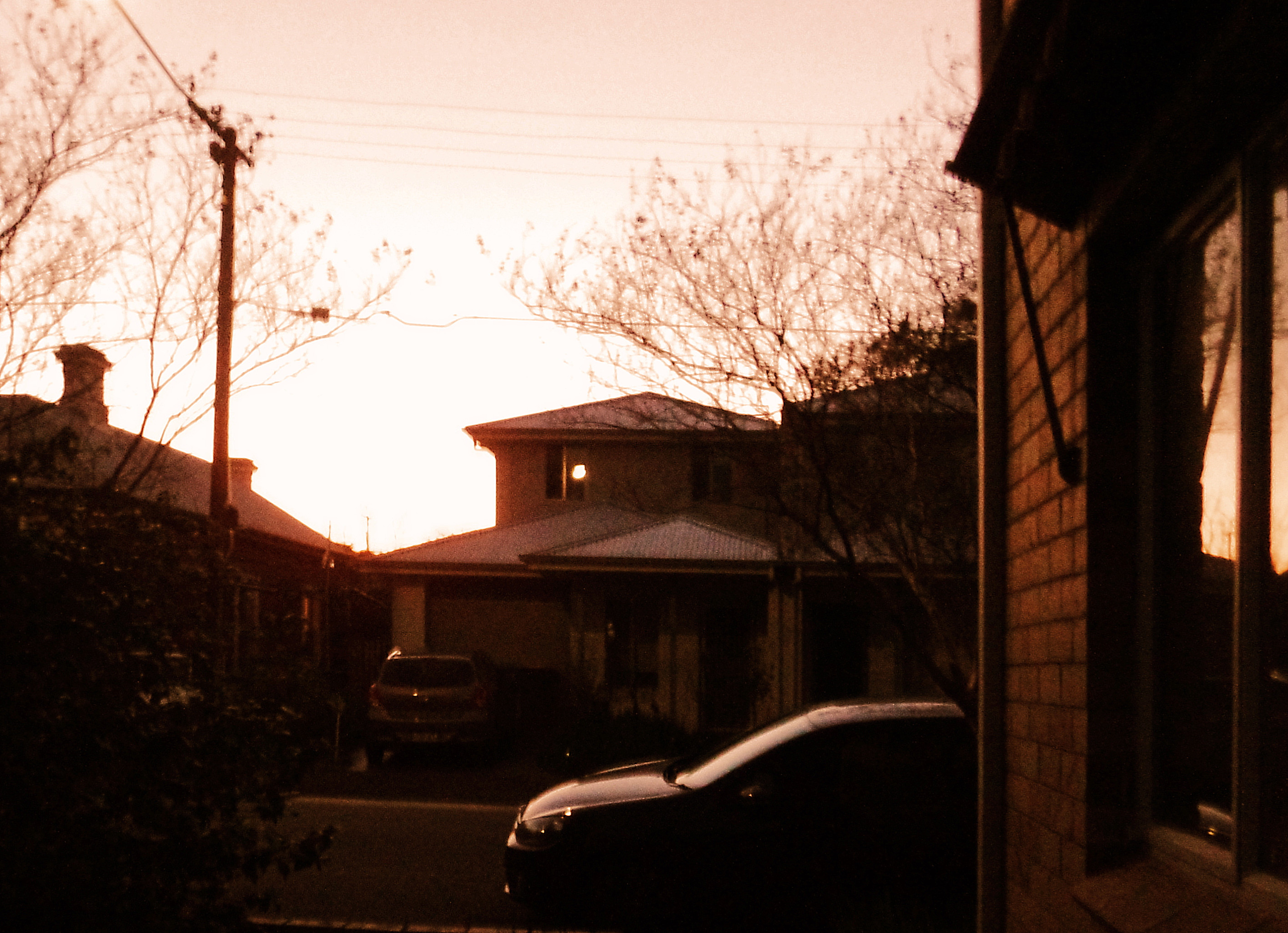 P8190040cropped.jpg