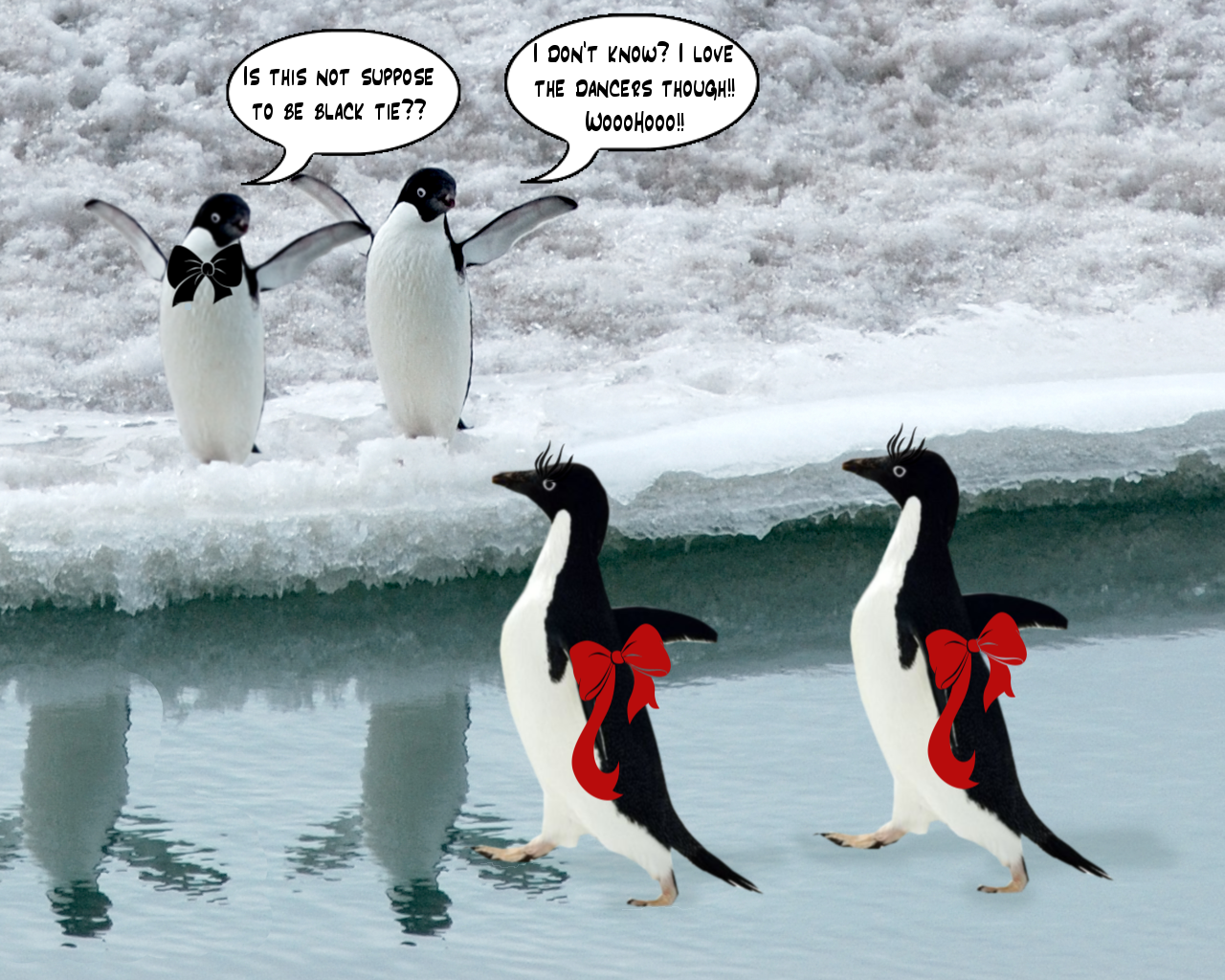penguimfun.png