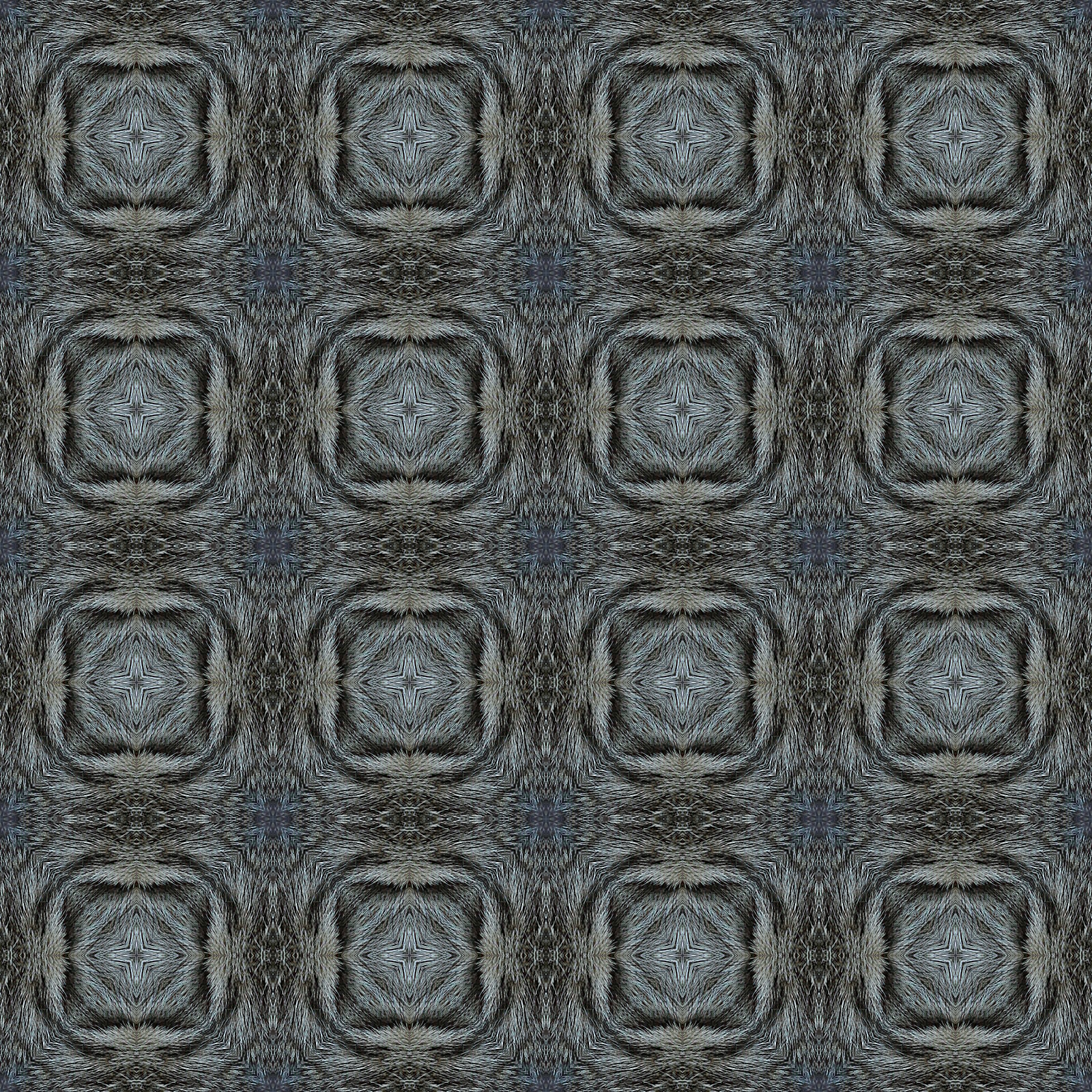 CatHairSymmetries.jpg