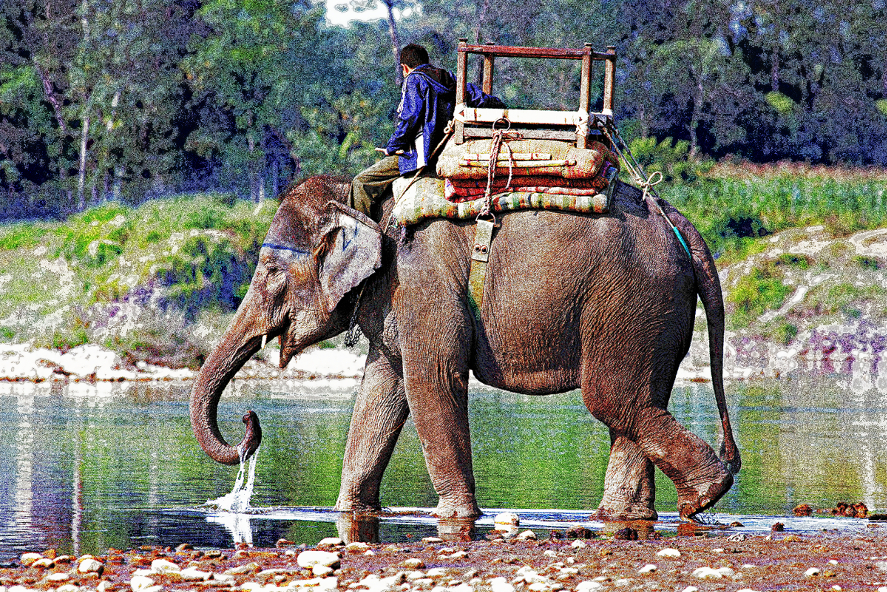 Indian Elephant.Pontillism.jpg