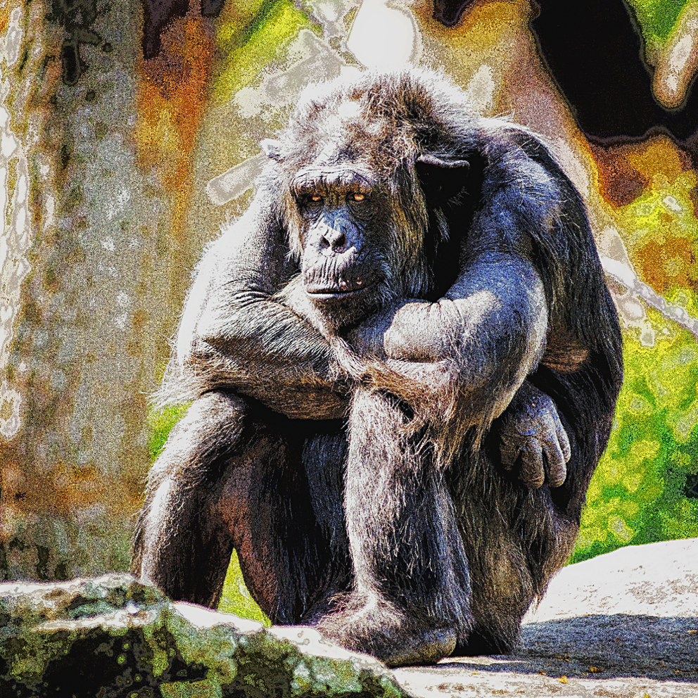 Chimpanzee Pontillism.png